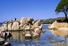 勇士擒湖人4连胜 库里37+6勒布朗33+5+9.